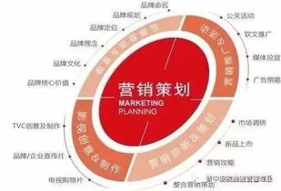 營銷策劃核心 從基礎(chǔ)概念到實踐策略